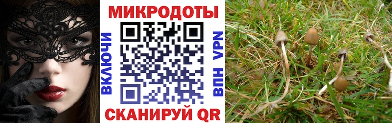 МЕГА рабочий сайт  Железногорск-Илимский  Галлюциногенные грибы MAGIC MUSHROOMS 