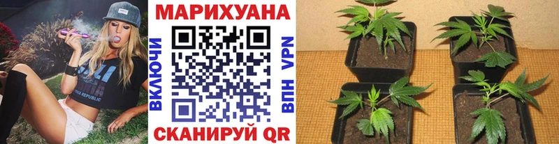 Канабис марихуана  Железногорск-Илимский 